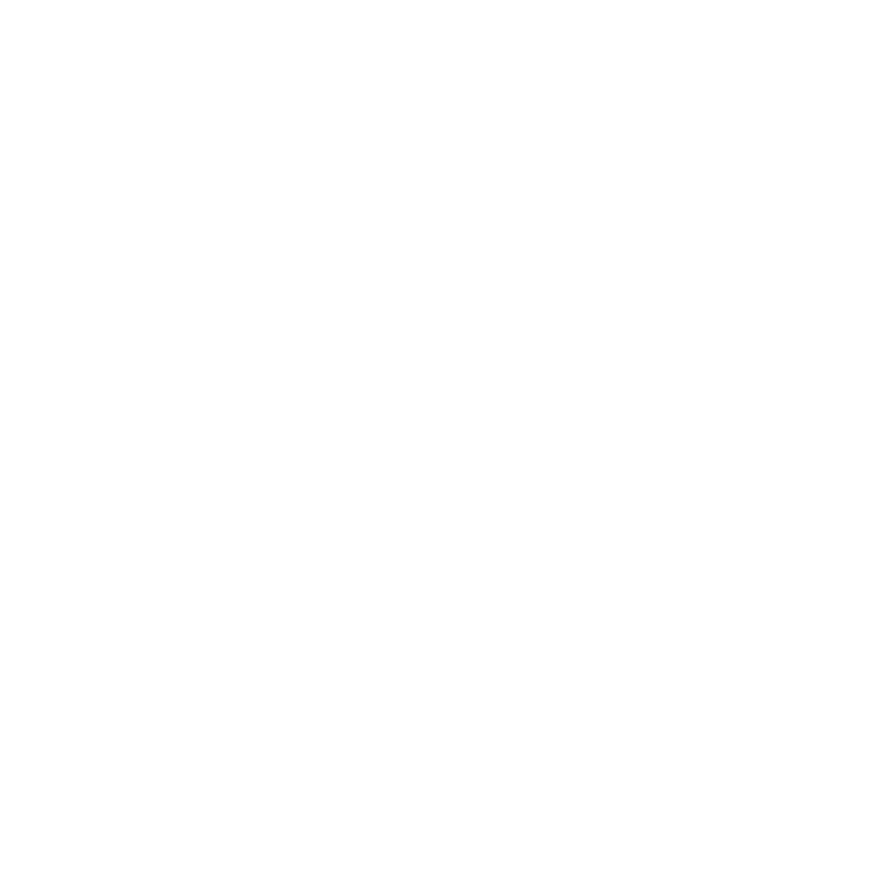 Photo Style Logo